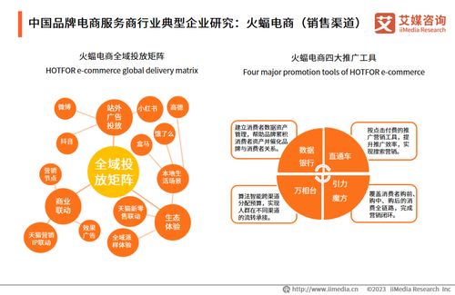 2023年中國品牌電商服務(wù)商行業(yè)研究報告 信息技術(shù)咨詢服務(wù)分析
